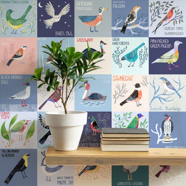 Vogels over de hele wereld Waterverf kunst Behang (Birds Around the World watercolor art hand lettered peel and stick wallpaper. Art by Nic Squirrell)