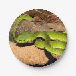 Vogel's Pit Viper Papieren Bordje