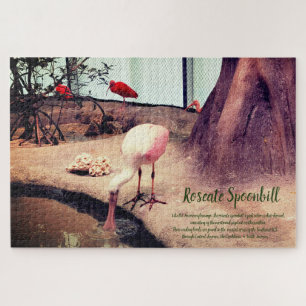 Vogels Rozeate Spoonbill Legpuzzel
