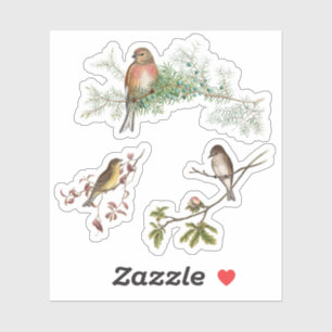 vogels sticker