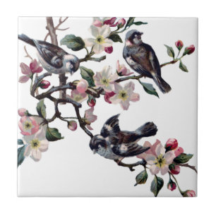 vogels tegeltje