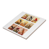 vogels tegeltje (Zijkant)