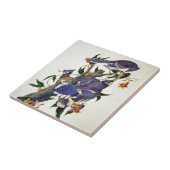 vogels tegeltje (Zijkant)