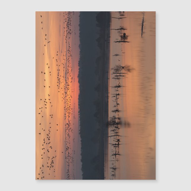 Vogels tegen zonsopgang (Voorkant)