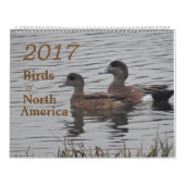 Vogels uit Noord-Amerika in 2017 Kalender (Hoes)