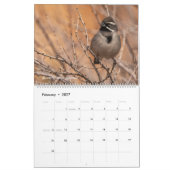Vogels van Amerika Kalender (Feb 2027)