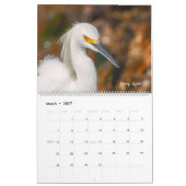 Vogels van Amerika Kalender (Mar 2027)