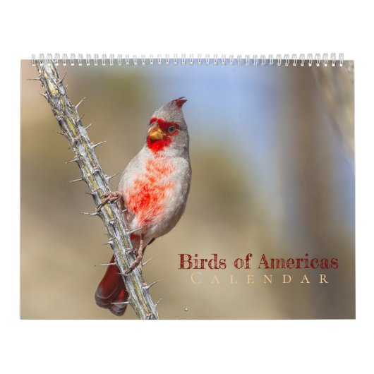 Vogels van Amerika Kalender (Hoes)