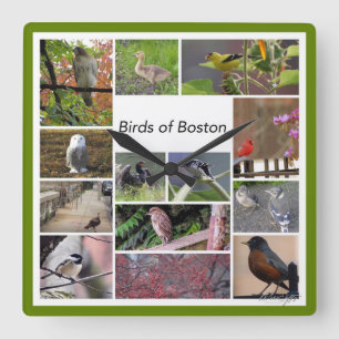 Vogels van Boston Photo Collage Vierkante Klok