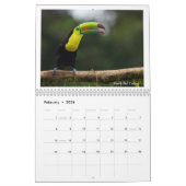 Vogels van Costa Rica Kalender (Feb 2026)