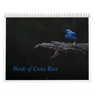 Vogels van Costa Rica Kalender