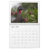 Vogels van Costa Rica Kalender (Mar 2027)