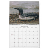 vogels van de Arctic Photo Calendar Alaska Kalender (Mar 2026)