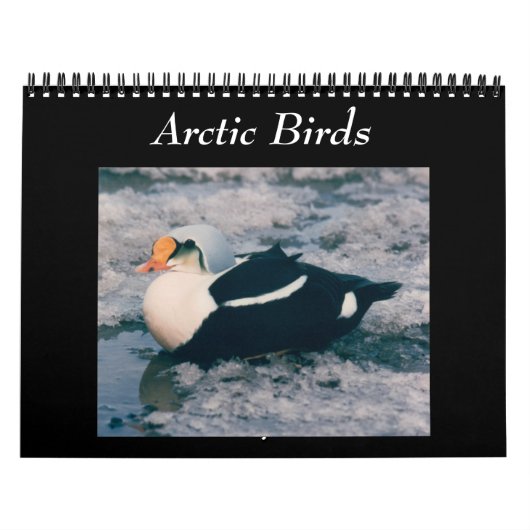vogels van de Arctic Photo Calendar Alaska Kalender (Hoes)
