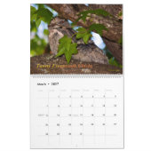 vogels van de Australische Struik Kalender (Mar 2027)