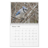 Vogels van de Carolinas Kalender (Feb 2026)