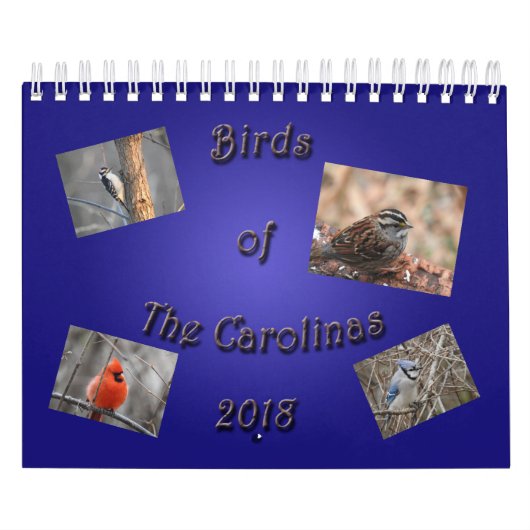 Vogels van de Carolinas Kalender (Hoes)