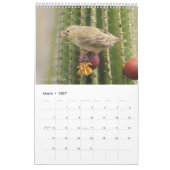 Vogels van de Galapagos-kalender Kalender (Mar 2027)