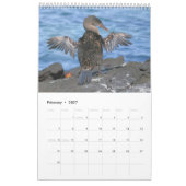 Vogels van de Galapagos-kalender Kalender (Feb 2027)