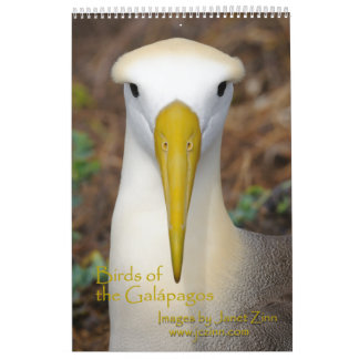 Vogels van de Galapagos-kalender Kalender