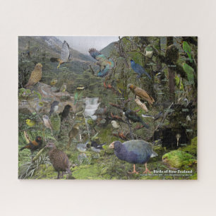 Vogels van de Nieuw-Zeelandse puzzel