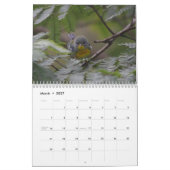 Vogels van de Oost-Amerikaanse kalender (Mar 2027)