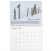 vogels van de prooi-kalender kalender (Feb 2027)