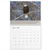 vogels van de prooi-kalender kalender (Mar 2027)