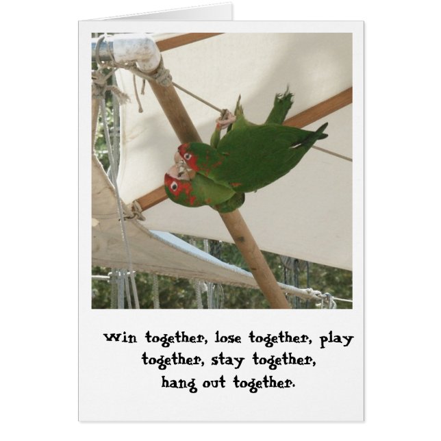 Vogels van een doezelaar (Voorkant)