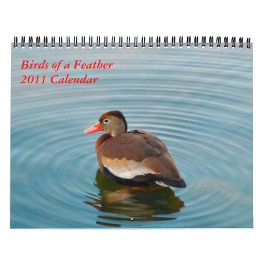 Vogels van een doezelaar kalender (Hoes)