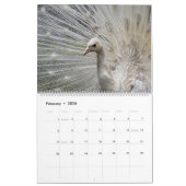 Vogels van een Faeröer Peacock-kalender Kalender (Feb 2026)