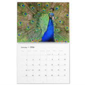 Vogels van een Faeröer Peacock-kalender Kalender (Jan 2026)