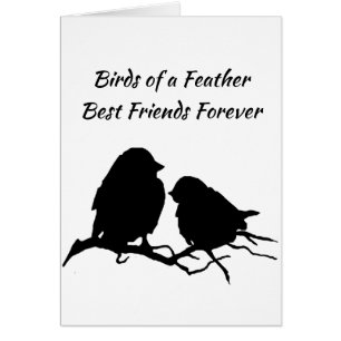 Vogels van een Feather Best Friends Forever