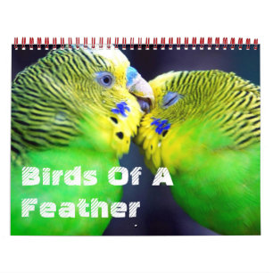 Vogels van een Kalender van de Veer
