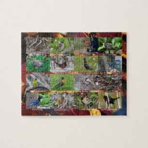 Vogels van een kudde samen legpuzzel
