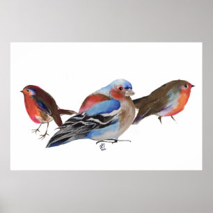 Vogels van een veer 2011 poster