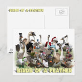 Vogels van een zeebodem briefkaart (Voorkant / Achterkant)