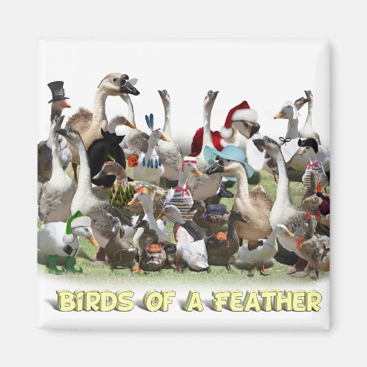 Vogels van een zeebodem magneet (Voorkant)