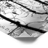 Vogels van een zeebodem poster (Hoek)