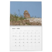 Vogels van Florida 2026 Kalender (Mar 2026)