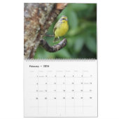 Vogels van Hawaii Kalender (Feb 2026)