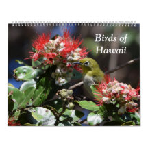 Vogels van Hawaii