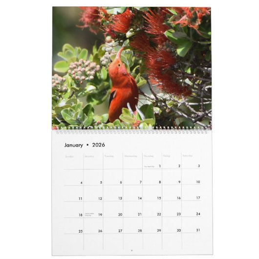 Vogels van Hawaii Kalender (Jan 2026)