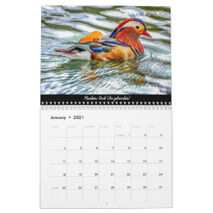 Vogels van het bos van Dean 2021-kalender Kalender