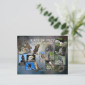 vogels van het briefkaart Prey Oklahoma 19dk-z (Staand voorkant)