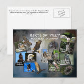 vogels van het briefkaart Prey Oklahoma 19dk-z (Voorkant / Achterkant)