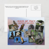 vogels van het briefkaart Prey Oklahoma 19r (Voorkant / Achterkant)