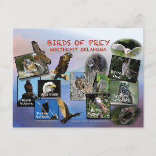 vogels van het briefkaart Prey Oklahoma 19r