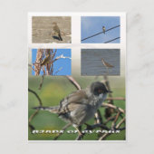 Vogels van het Cypriotische briefkaart (Voorkant)