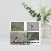 Vogels van het Cypriotische briefkaart (Staand voorkant)